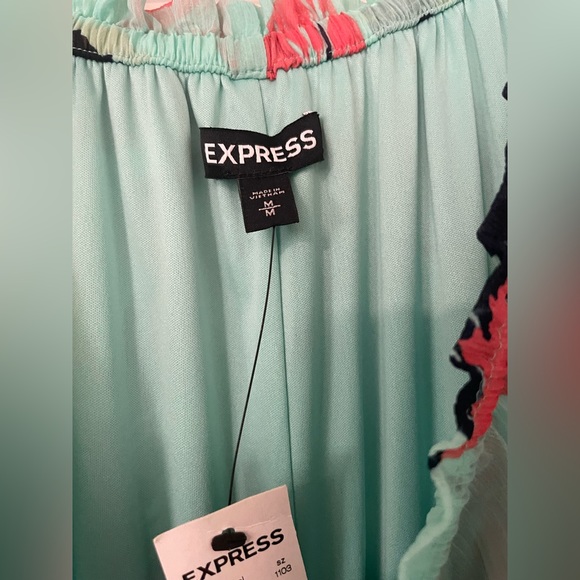 Express Dress - Picture 3 of 4